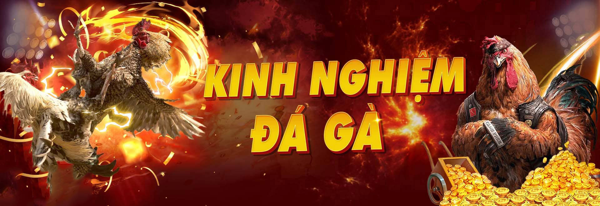 daga88.tv Khuyến mại đá gà uy tín