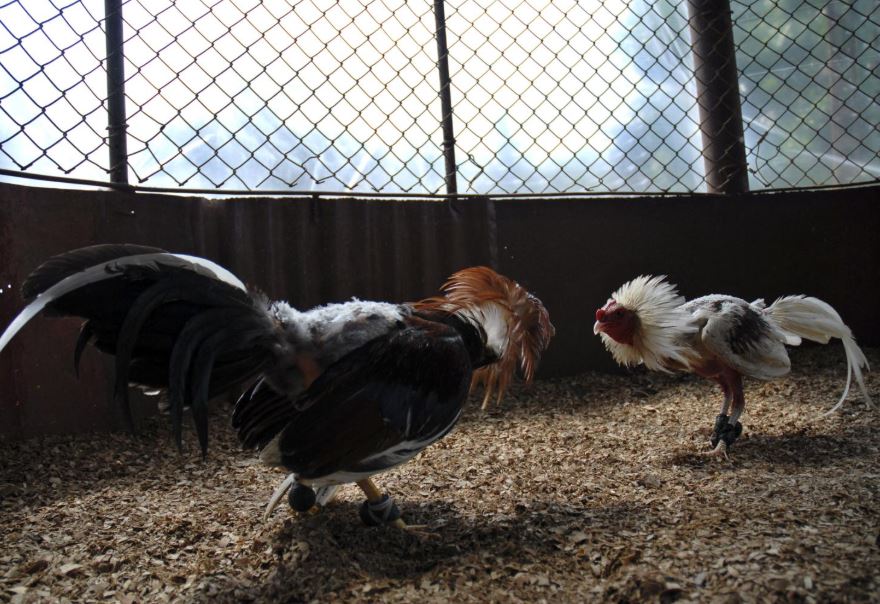 Thời Gian Trận Đấu Và Quy Định Về Hiệp Đấu: